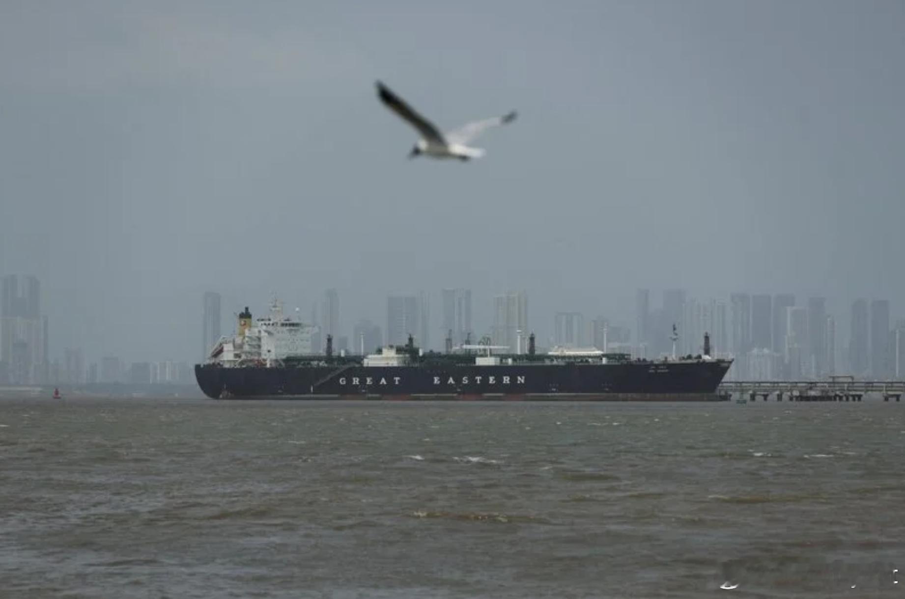 3艘油轮夜闯霍尔木兹海峡：谈判突告破裂，2艘紧急掉头、1艘成功通过海外新鲜事美伊