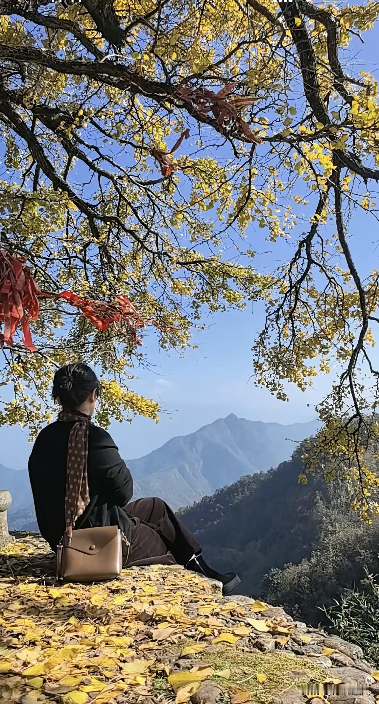 脚踩西瓜皮
滑到哪里算哪里

不要给自己设玻璃天花板
这就是我人生的格言

这个