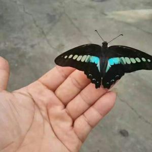 笑谈人生的日子