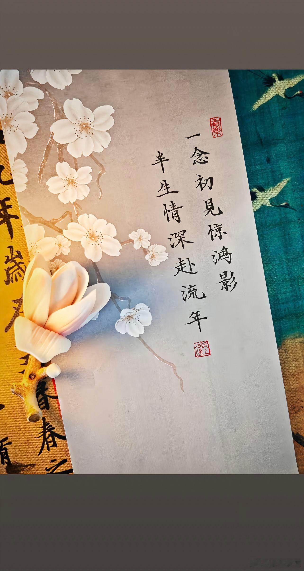 随手拍一念初见惊鸿影，半生情深赴流年。原来有些心动从不是刹那烟火，而是刻进骨血里