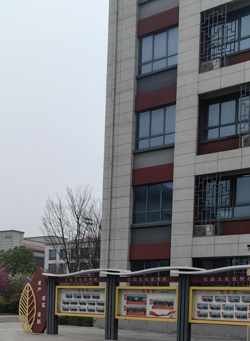 对比亚迪和长城，你更青睐哪一方？个有千秋，比亚迪在电车方面比较领先，而长城深耕S