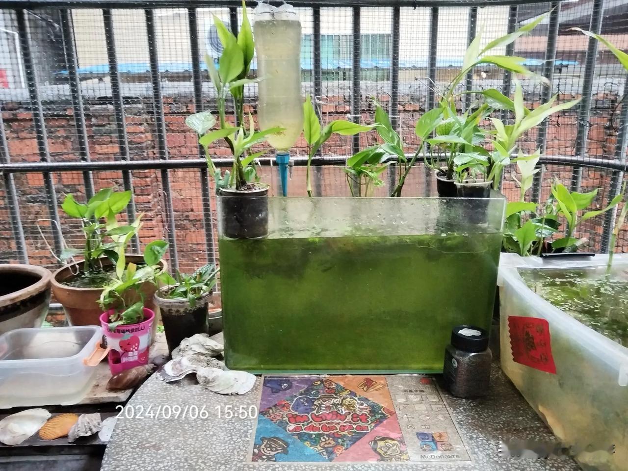 鱼喜，石湿
雨袭，雨洗，鱼喜雨，雨洗鱼，雨袭予，雨洗予……[yú、yǔ、xí、x