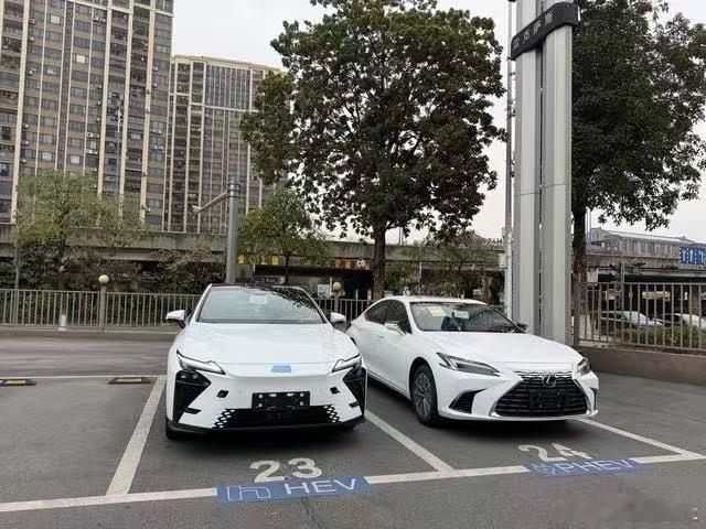 雷克萨斯 群里看到的大佬请用三张图片 串一个合理的故事给我看看谁的文笔最好 