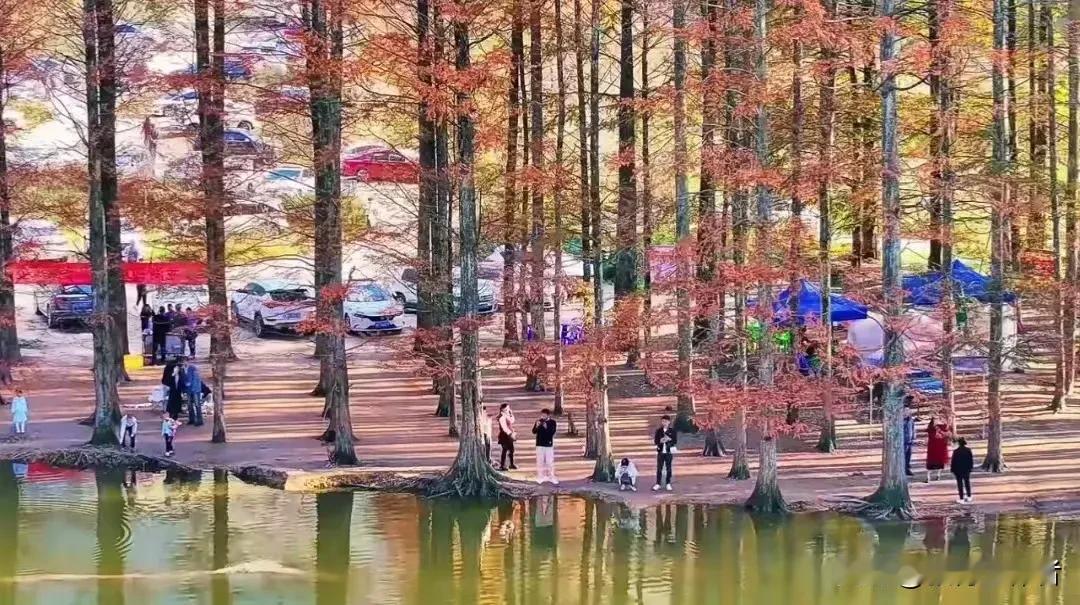 湖光山色，翠林红叶。秋天好山水