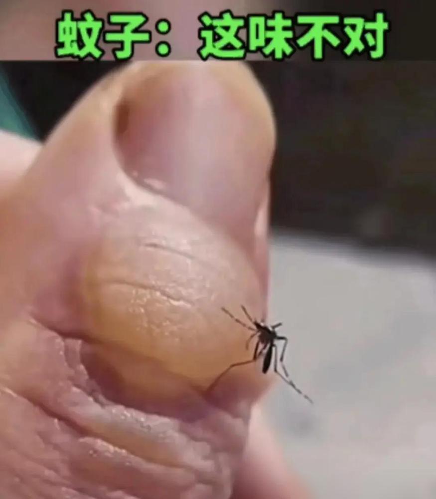 手指上不知道咋弄的，起了一大水泡，亮晶晶的。

之前我手上磨出泡总忍不住要捏破，