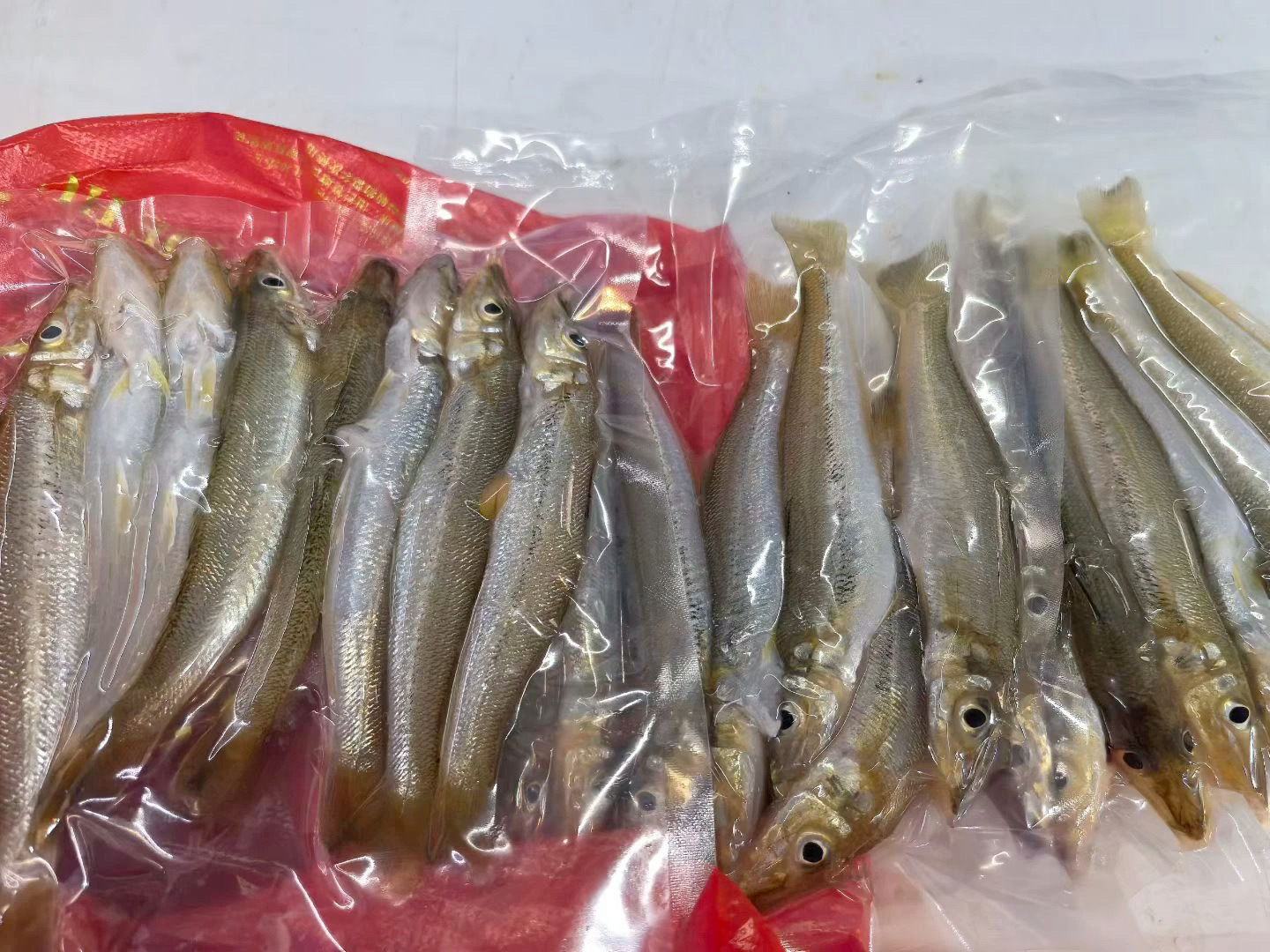 一日一食一记[超话]  沙丁鱼——颜值与口感并存[赞][老师爱你] ​​​
