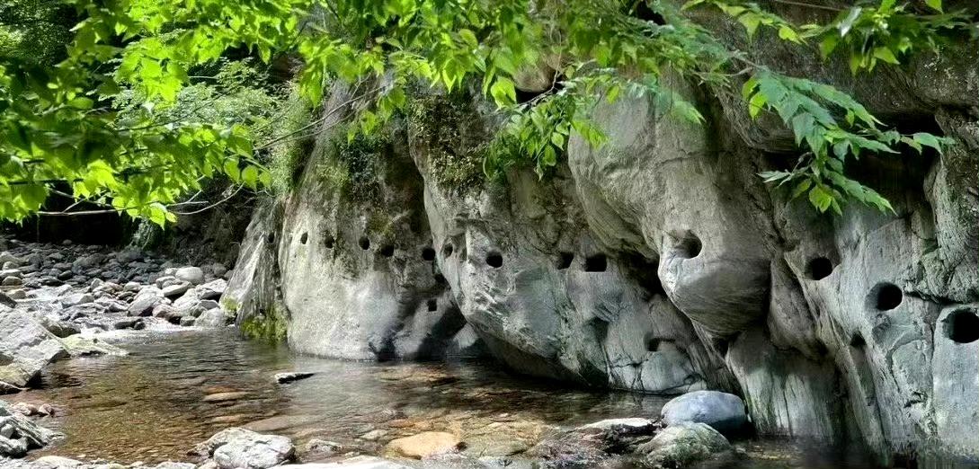 秦岭大山里，
三国时修的栈道。[灵光一闪] ​ ​​​