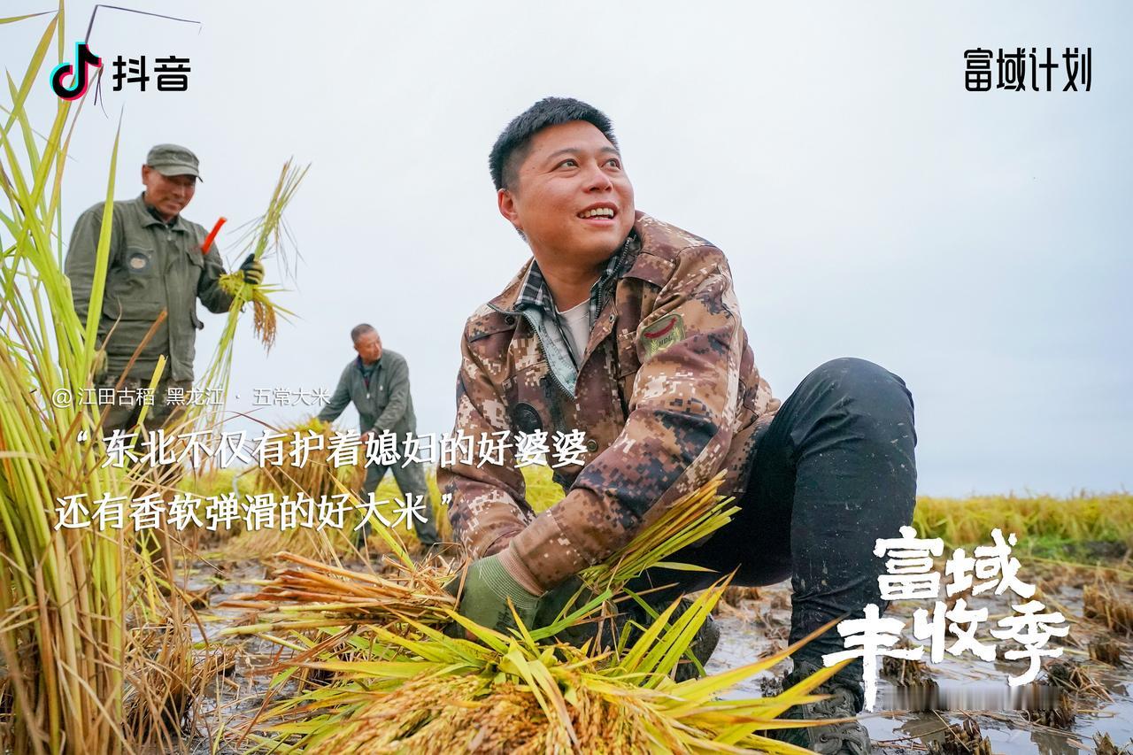 每次回到老家，吃饭的时候爷爷总要评论一下，这个米饭口感怎么样。以前家里世代种粮，