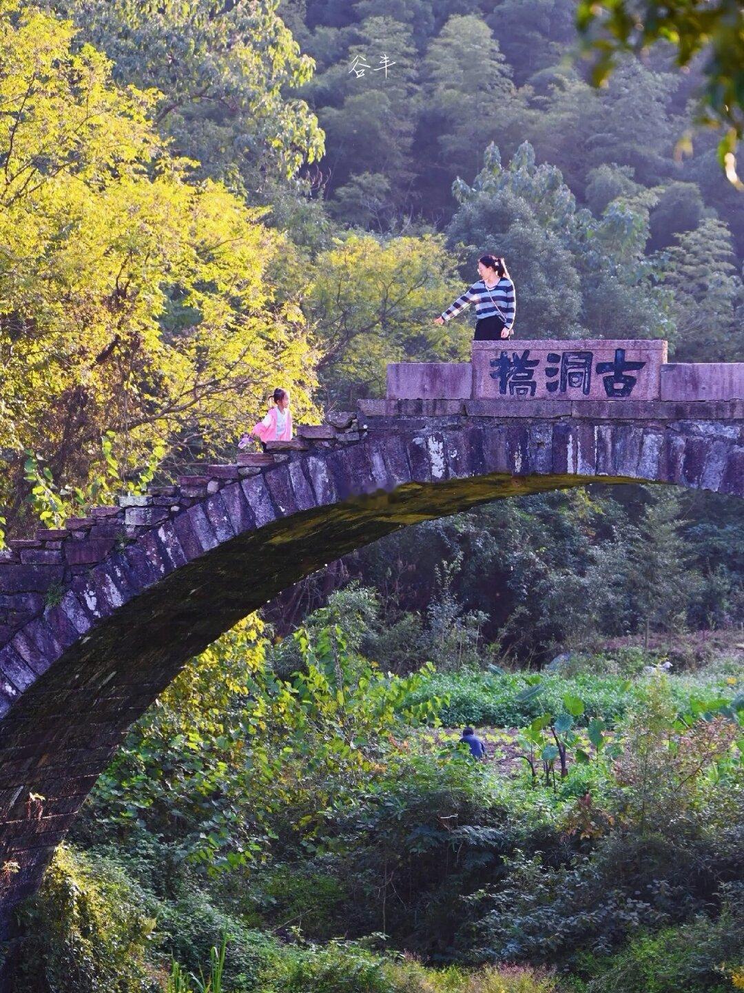 低头找秋天|银杏黄了时一定要去拍照的地方