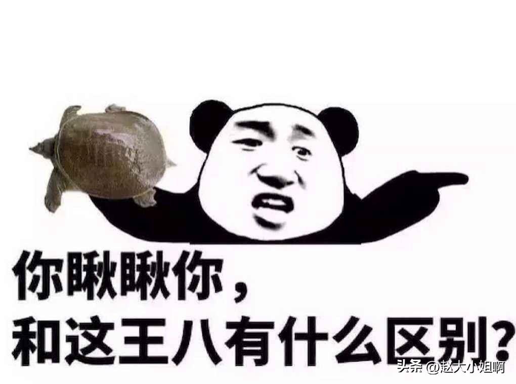 “崩老头”
你们知道这三个字是什么意思不？
我也是刚知道的。
从一位女网友嘴里听