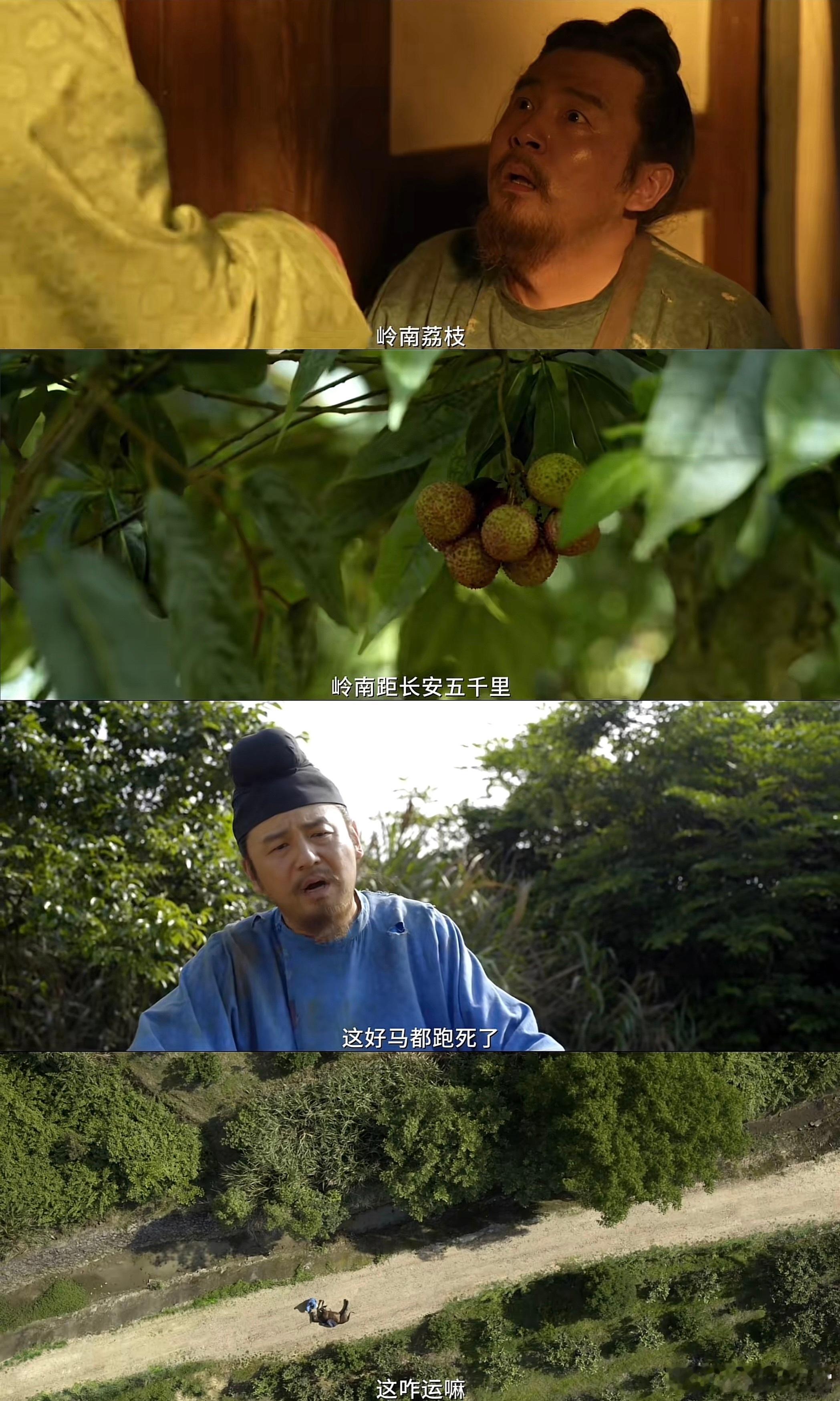 荔枝使和花鸟使的区别电视剧长安的荔枝 荔枝使和花鸟使看似是同样的圣上使臣，但他们