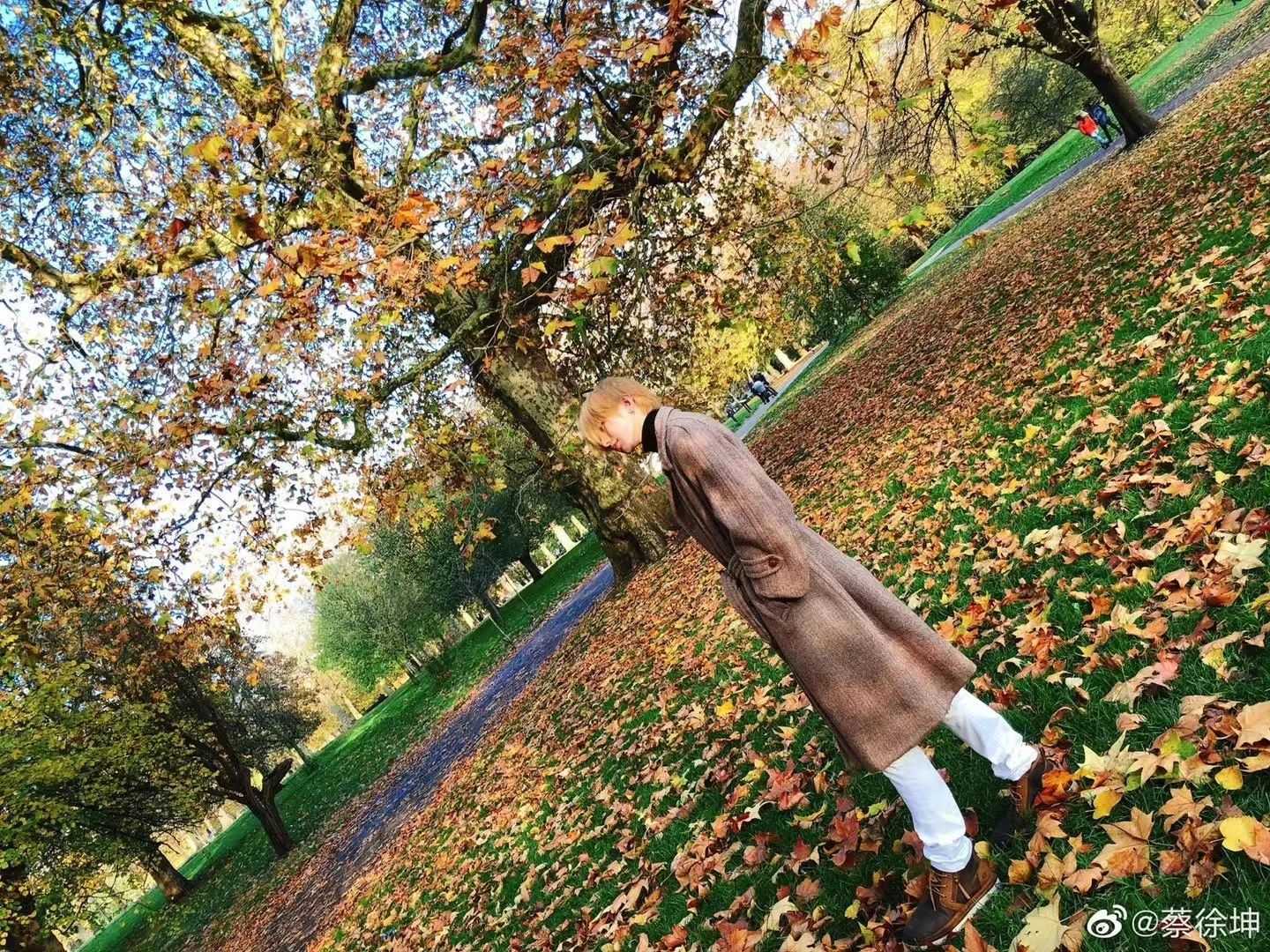 立秋的第一天晒晒秋日男友🍂🍂蔡徐坤