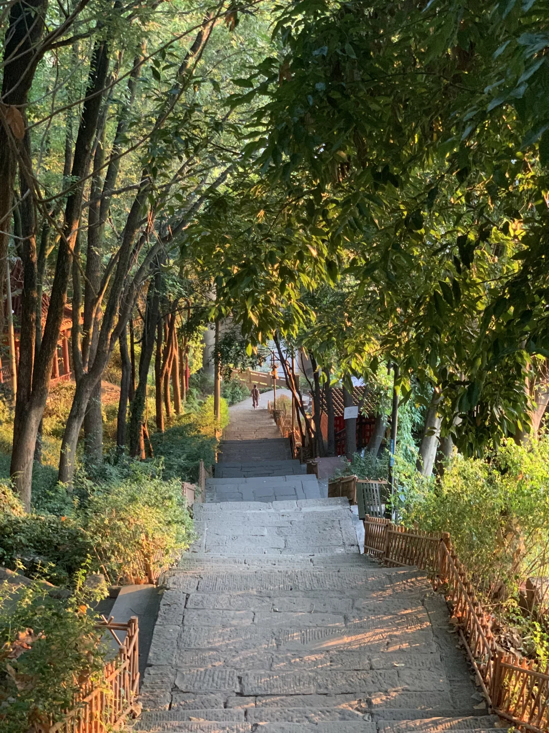 为了黄葛古道专门去了一趟重庆…