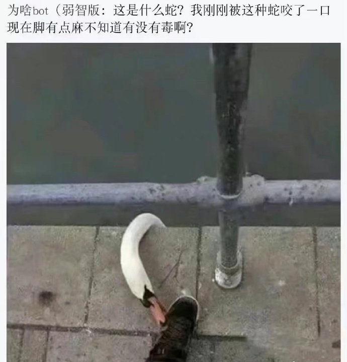 4573 ​​​