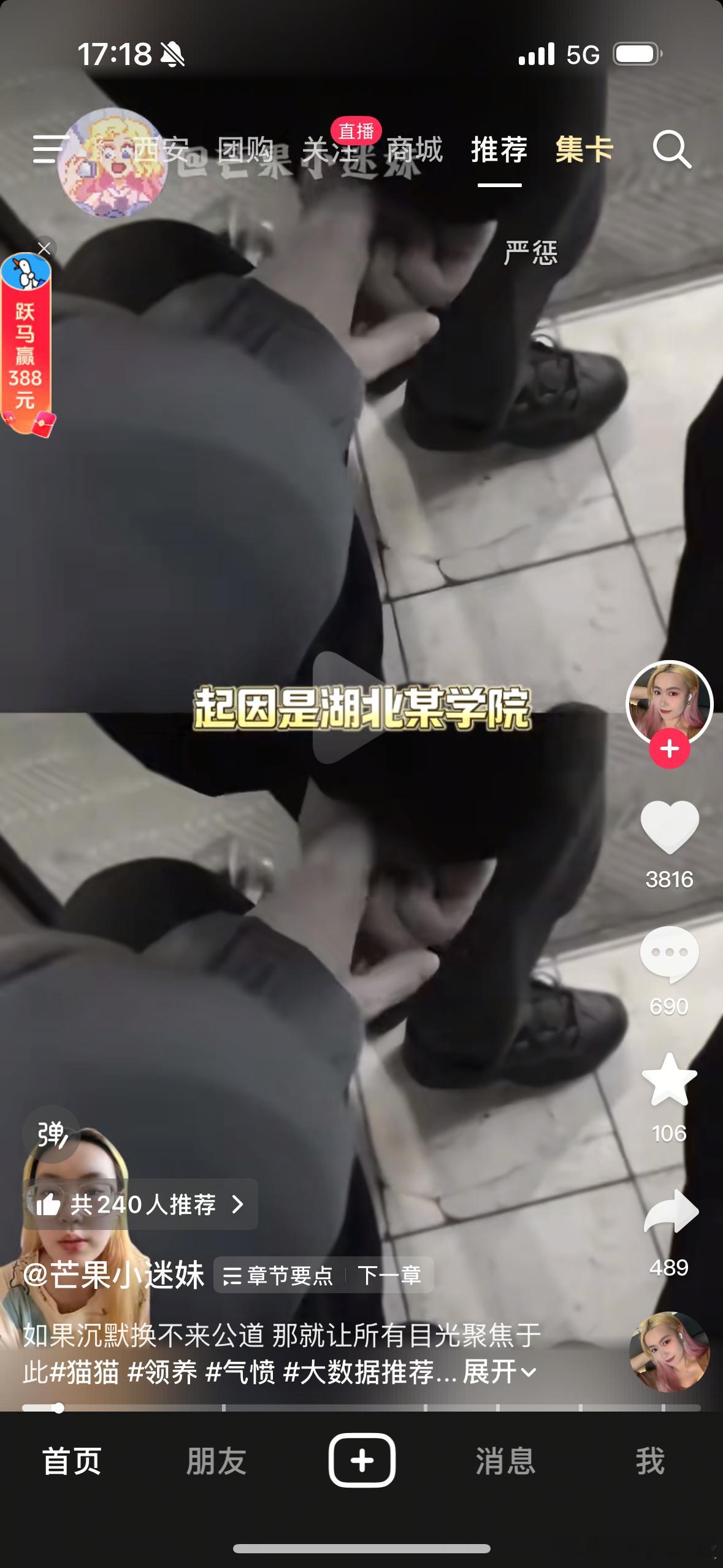 真的赶紧立 反虐待动物法吧 真的看不了这种视频 好想让这些人s怎么就敢虐待不会说