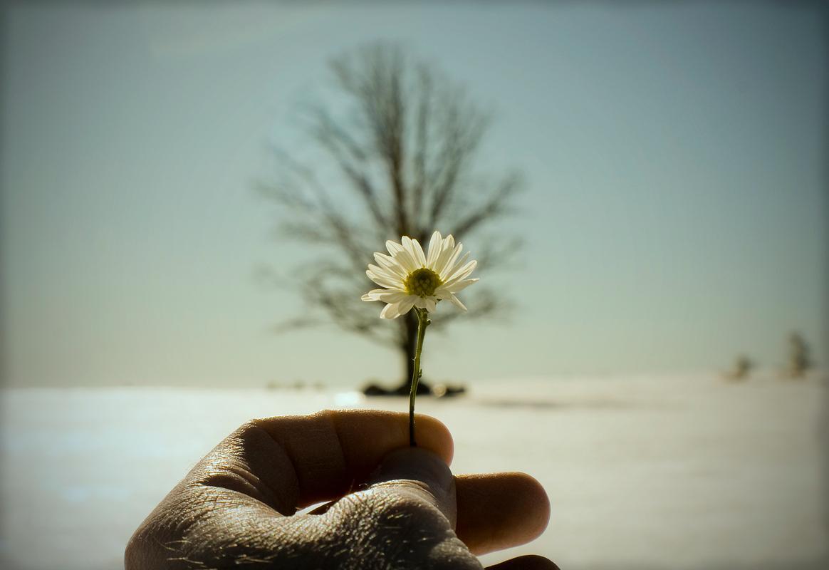 人到中年，最难得的是：不折腾子女，过好自己
昨晚收拾衣柜，翻出一件洗得发白的旧外