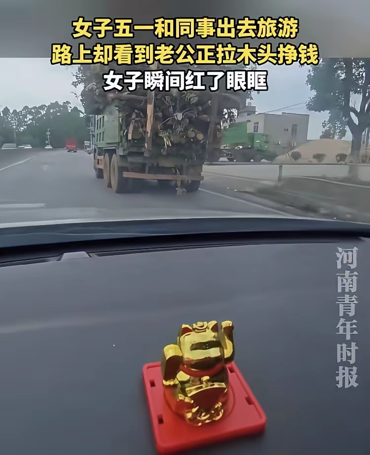 “我还算是一个称职的女人吗？”女子和同事旅游回来途中，发现自己丈夫拉着一车满载木
