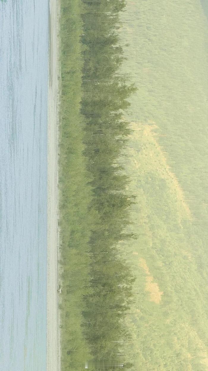 你愿意和我在一起吗? 允许我用一枚戒指绑住你， 在法律的规定下， 把余生分一半给