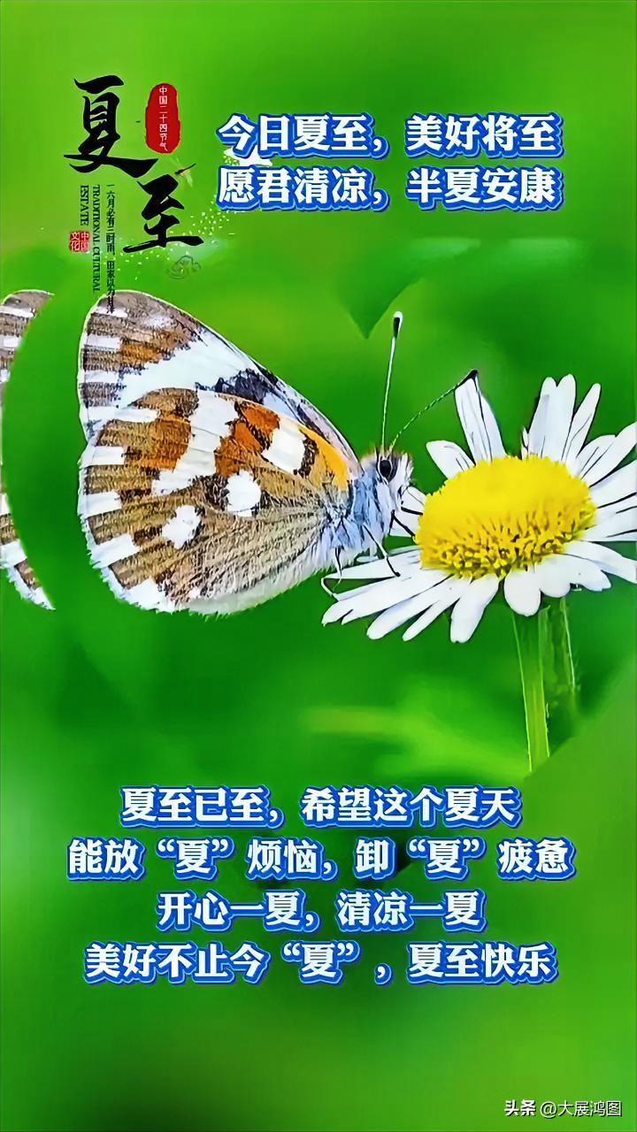 夏至花盛开，清凉入心怀。