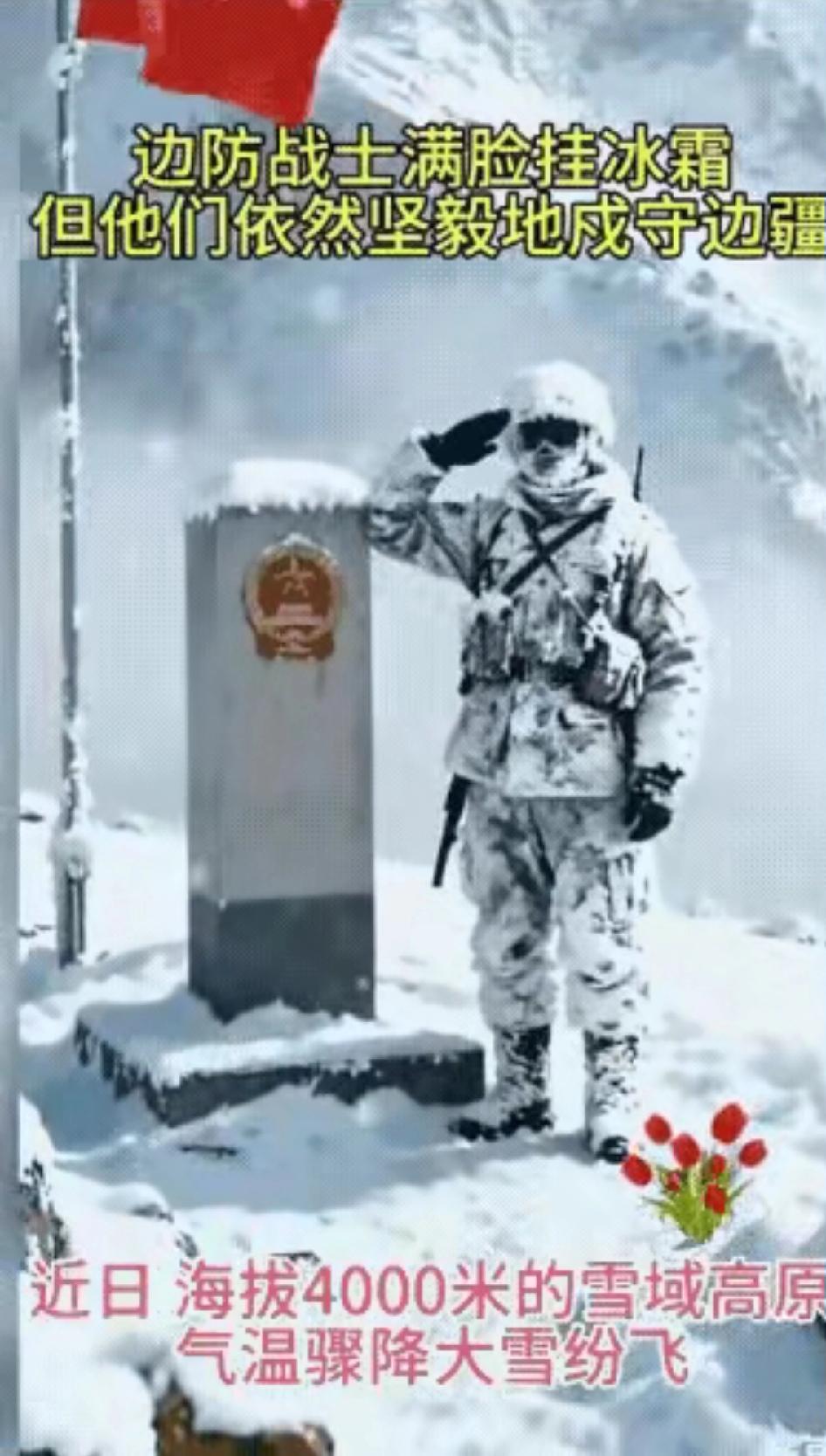 雪地里的“雪人”眨了眨眼？凑近看清的瞬间，眼泪直接绷不住——那是海拔4000多米