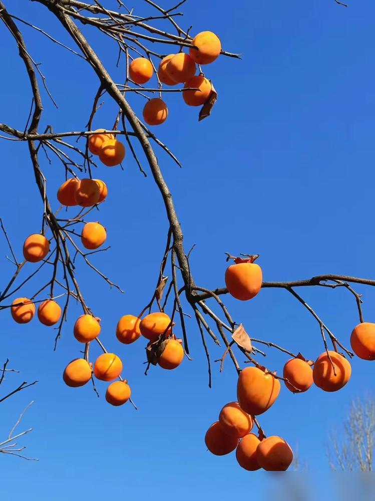 我发现，男人50岁以后都有一个通病。我家那位今年52了，以前爬个山跟猴儿似的，现