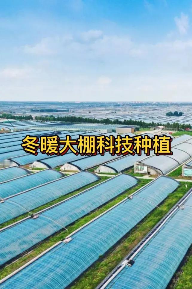 菜农保温大棚用什么保温材料好菜农的保温大棚可以使用多种保温材料。保温被是不错的选