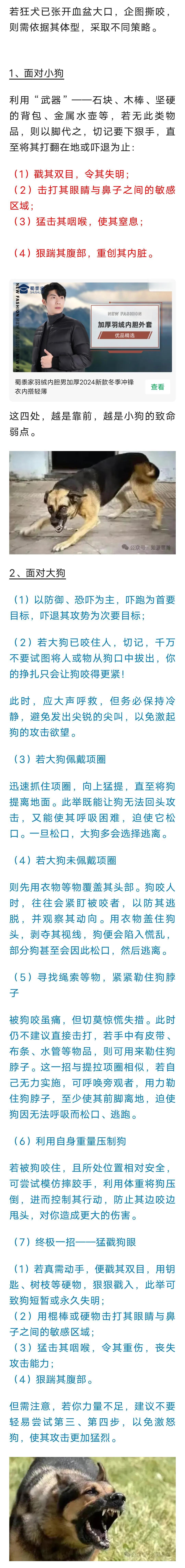 狂犬发起攻击，该如何自救？