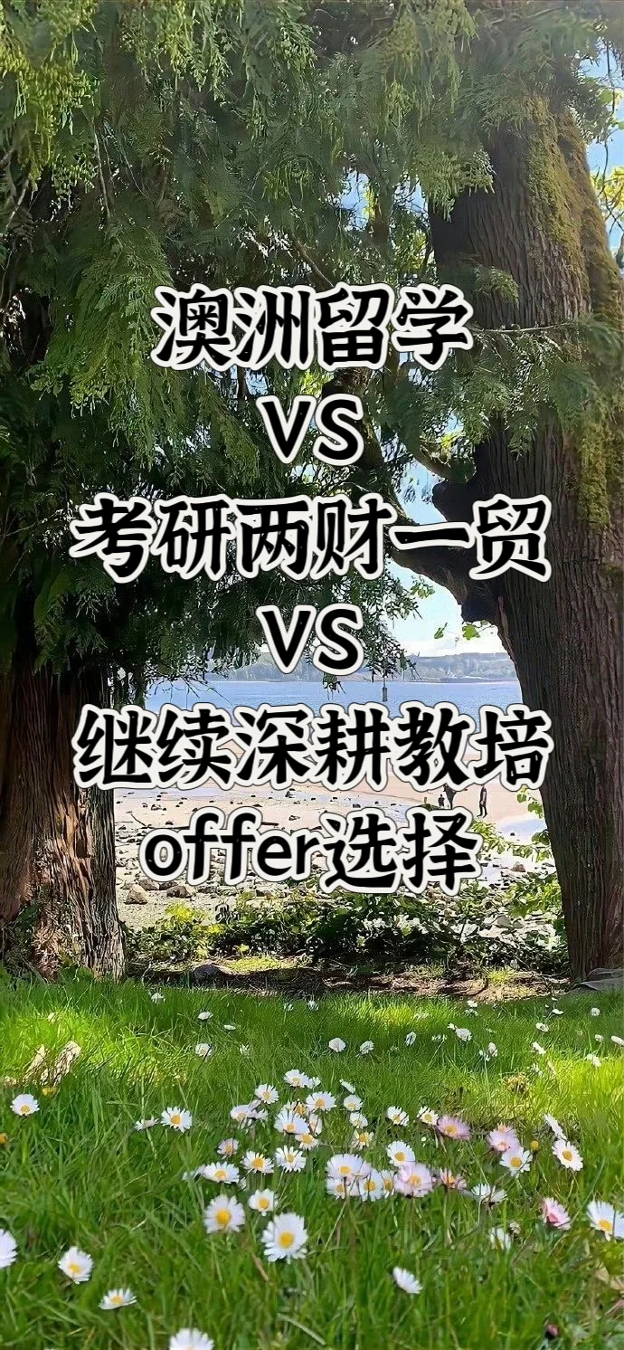 能折腾的小姐姐规划选择 | 留学 考研 教培