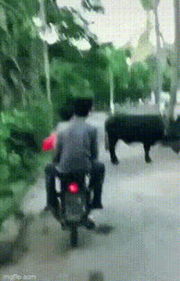 [嘻嘻] ​​​