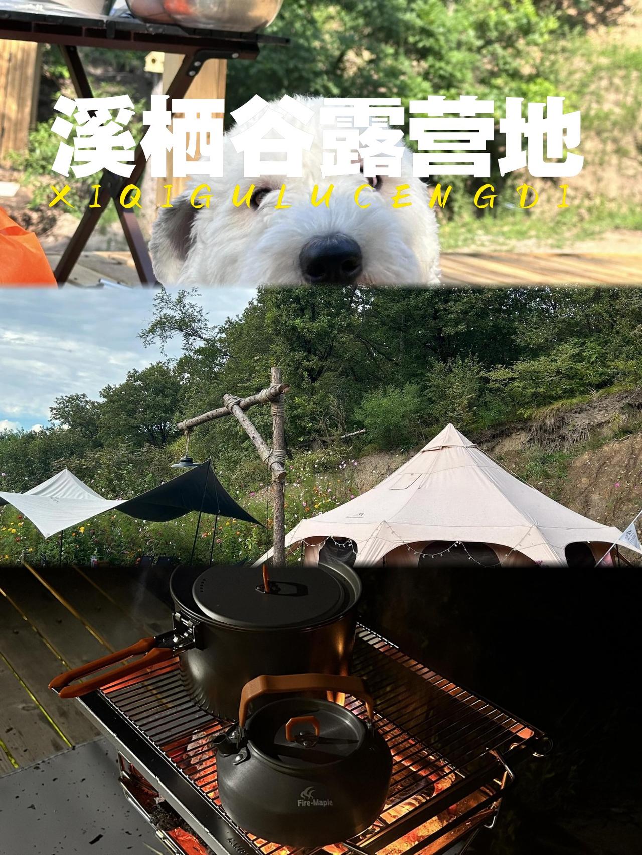 逃离人潮🌿溪栖谷露营地全攻略

谁说逃离城市要躲到很远？这个藏在山野的宝藏营地