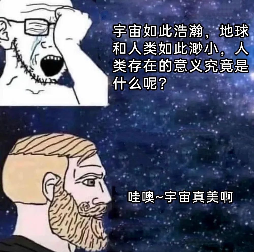 哇真美 ​​​