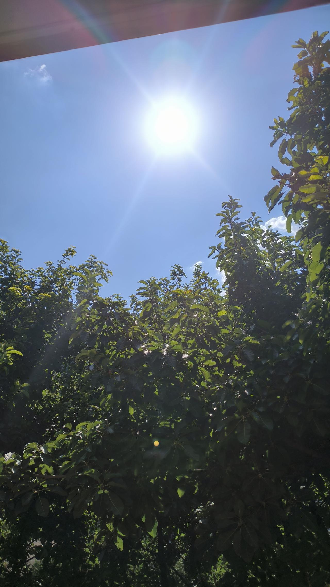 朋友们,重庆夏天真的很热吗?

重庆夏天‌确实非常热‌，是公认的“火炉”城市，夏