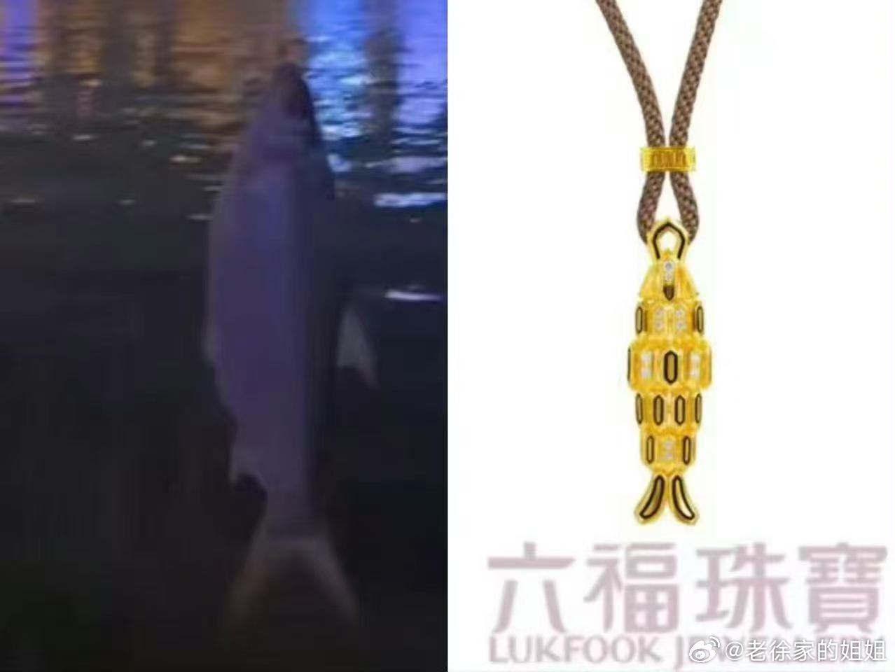 不能说毫无关系，只能说一模一样。戴上它，就是自带「绝不空军」buff的钓鱼许愿神