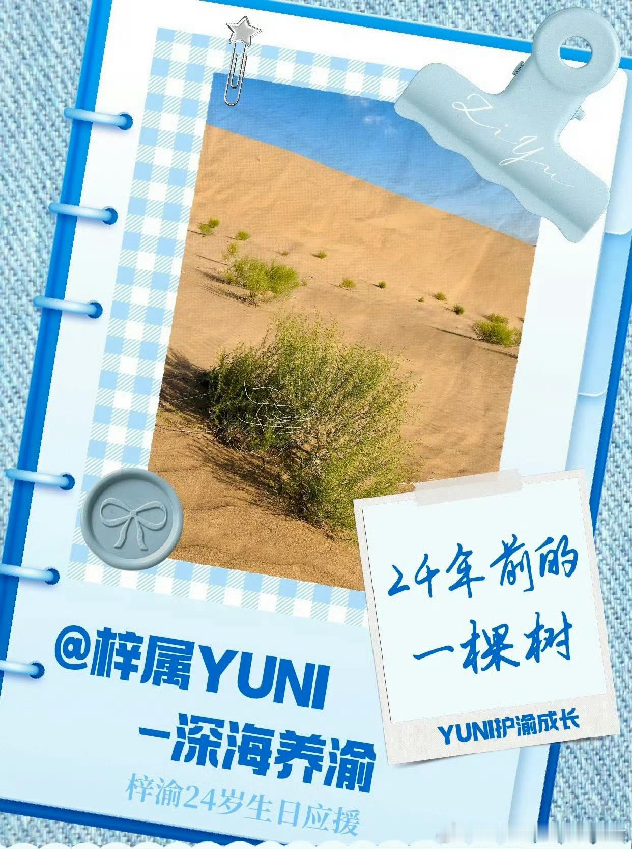 梓渝7600棵梭梭树生日公益应援🏜️梓渝粉丝YUNI绿色公益应援落地｜7600