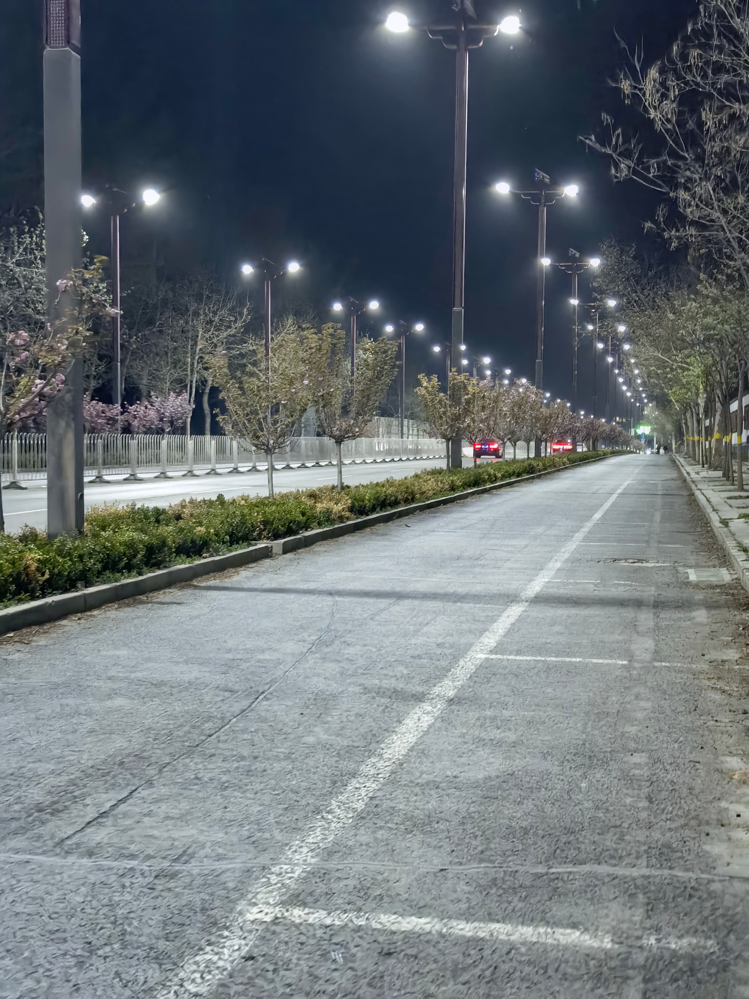 天气渐暖又可以晚上出去散步溜达了，昨晚遛弯路边飘来一股香，原来是紫丁花香，真好闻