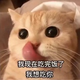 蝶聚聚社会
