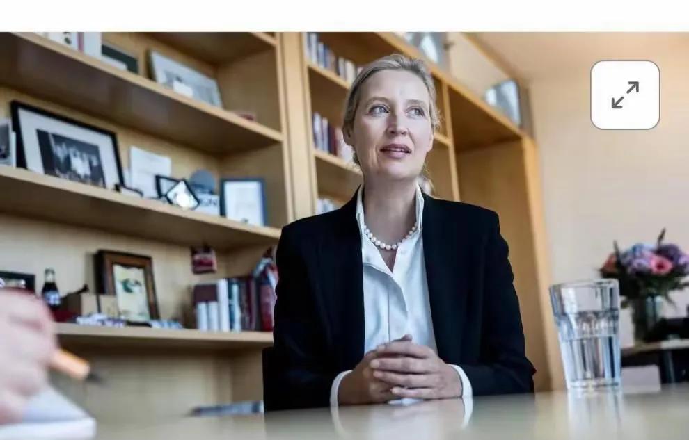 德国极右翼政党"德国另类选择党"（AfD）联合主席爱丽丝·魏德尔6月30日接受路