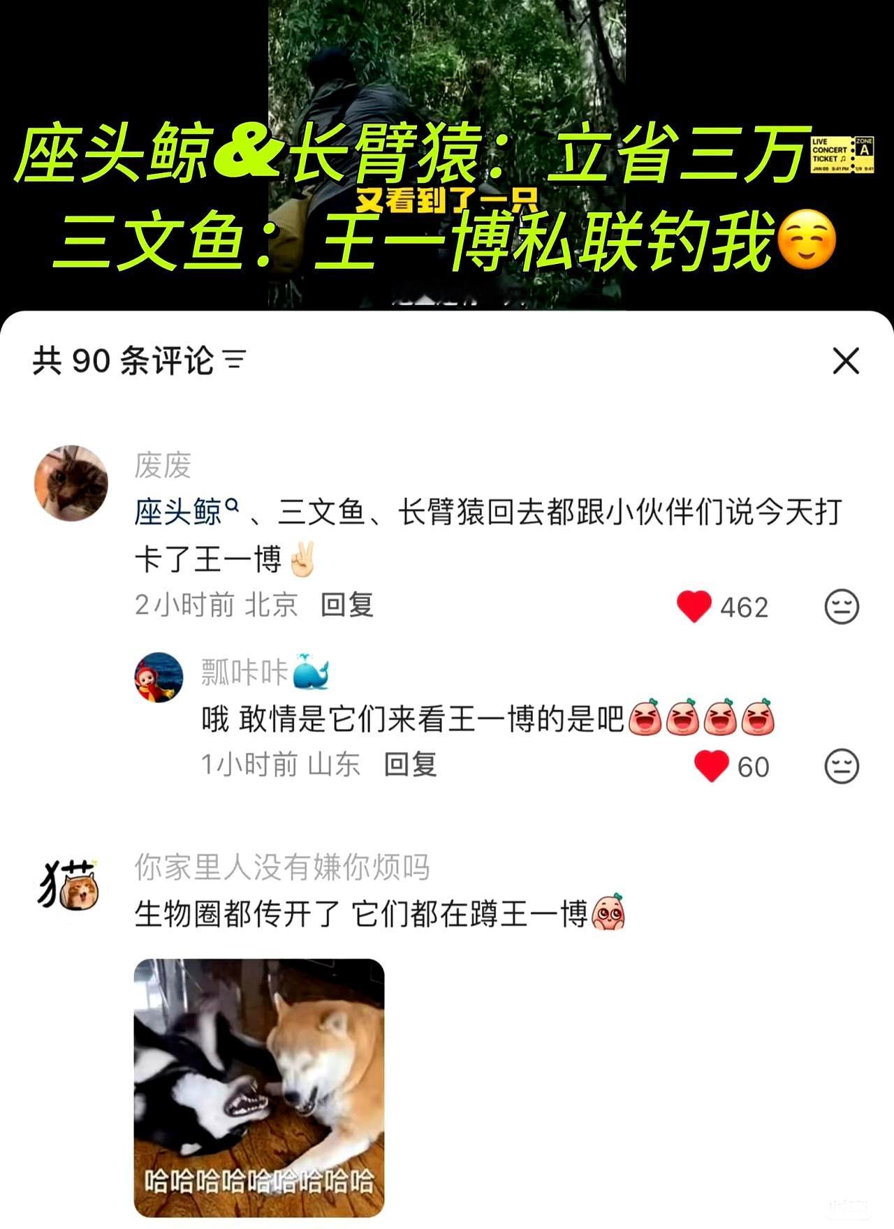 万物可爱，万物可爱，原来是万物觉得王一博可爱。
 

北美之行他划皮划艇偶遇座头