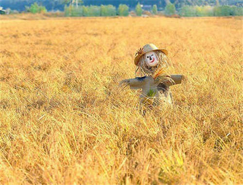 “人与人之间  除了亲人的关系  其它温暖的关系都是上帝给你额外的宠爱” 