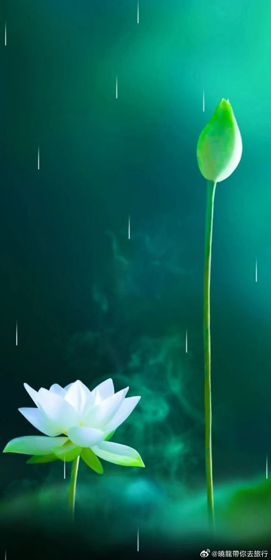 人生就是不断告别，不断赶路……晓龙带你看世界自由撰稿人 杨晓龙网络志愿者·晓龙和