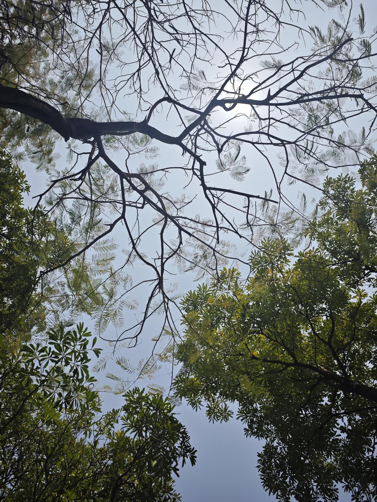 自信是怎么炼成的？不是等有了结果才自信，而是从一开始你就自信，并且毫不犹豫先展开