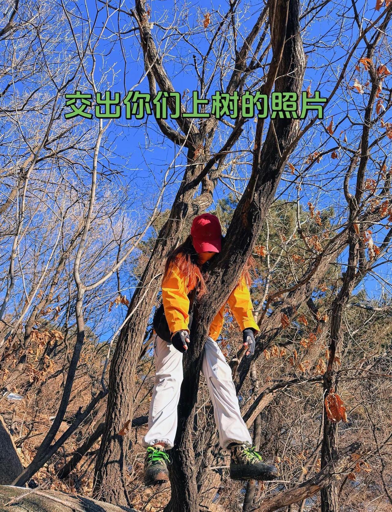 这才是真正的爬山 这是一种很新的爬山方式 爬山我是认真的