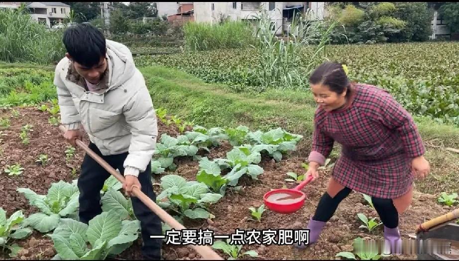 这是期有味道的视频，老挝二哥二嫂看到小陈用大粪浇菜，吓得不敢相信，认为那么臭，菜