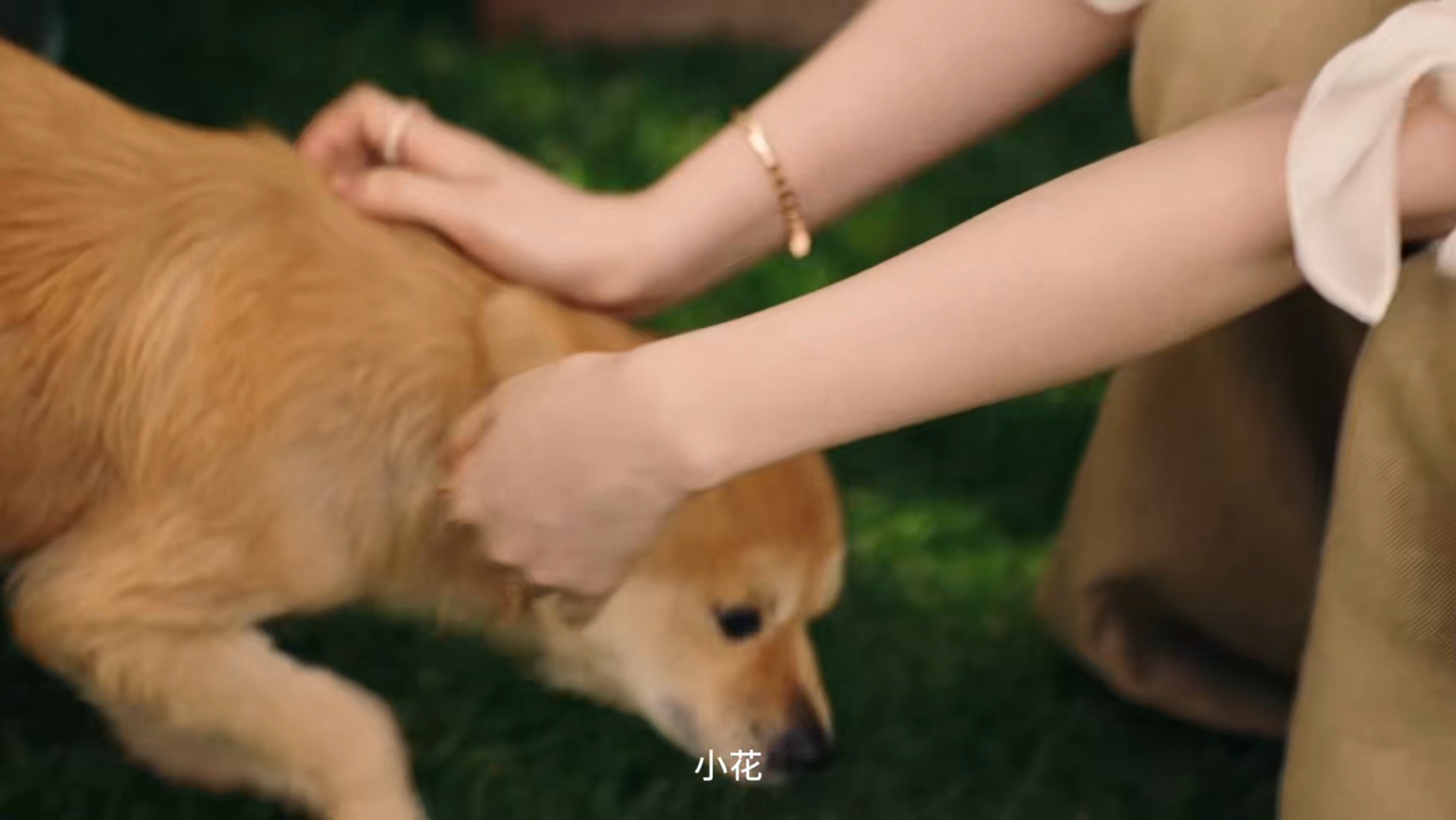 不管[捂嘴哭][捂嘴哭] 我也要和小花丢丢一样赖在麻麻身上，麻麻去哪儿我去哪儿，