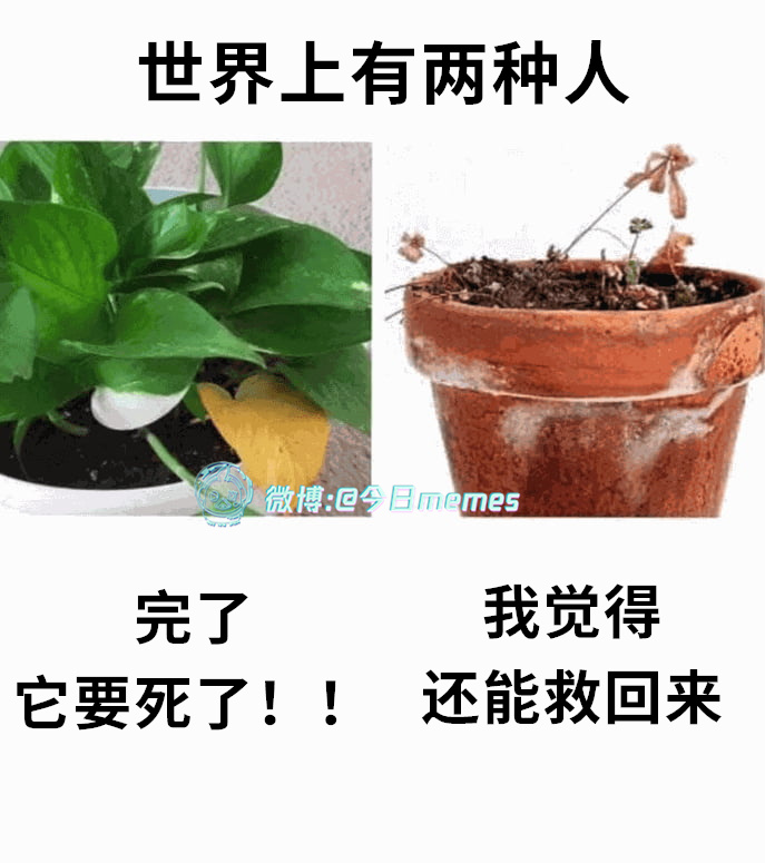 不放弃（9gag）今日meme[超话] 今日memes ​​​