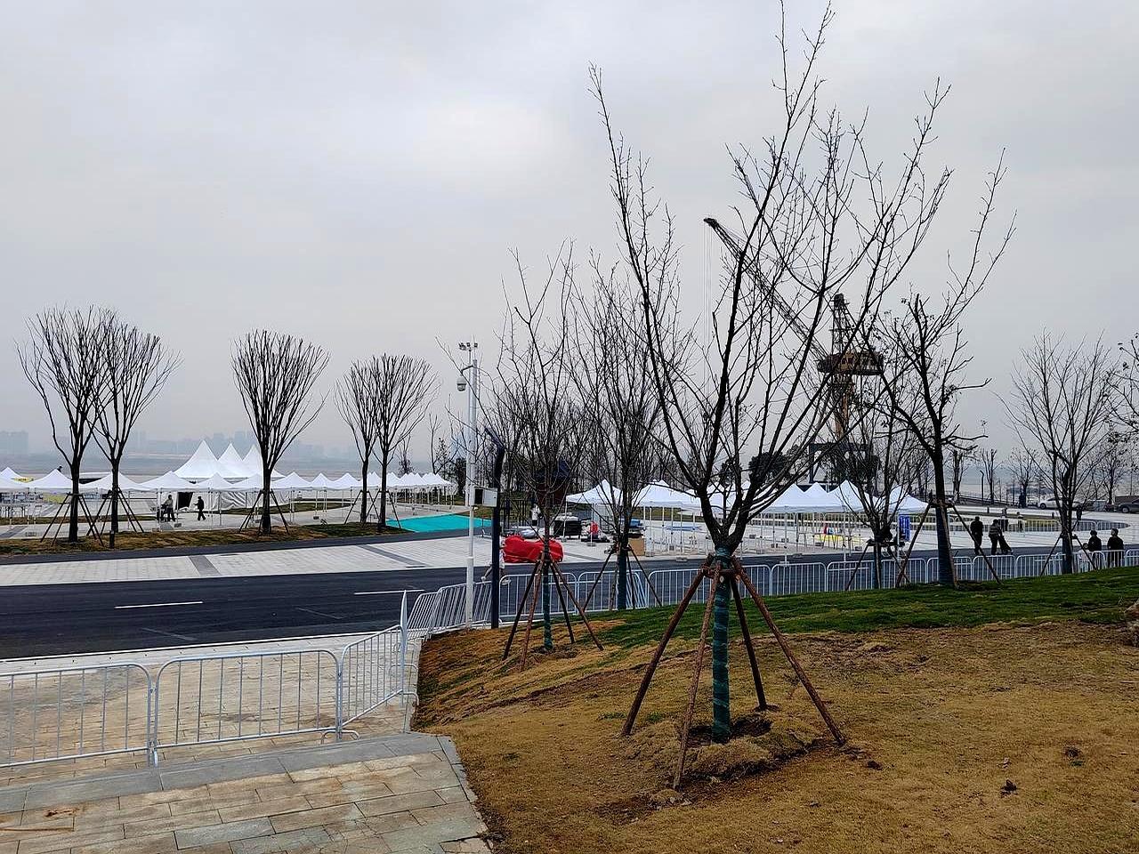 8000人抢150个直通名额
 
1月18日早8点，青山江滩枪响。13公里迎春跑