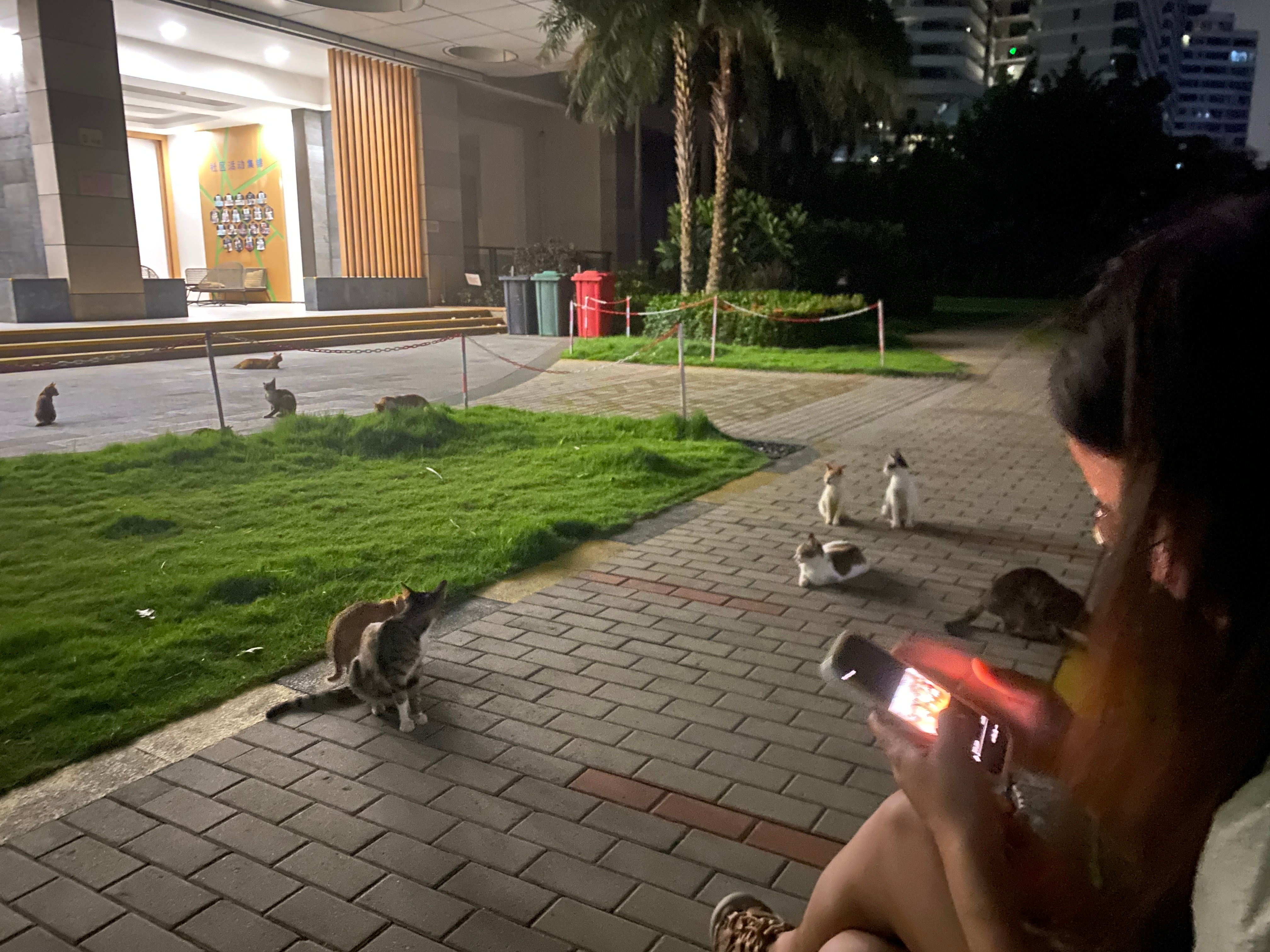 晚上散完步，我俩在楼下体验了会儿退休后的晚间娱乐项目[笑cry][笑cry] ​