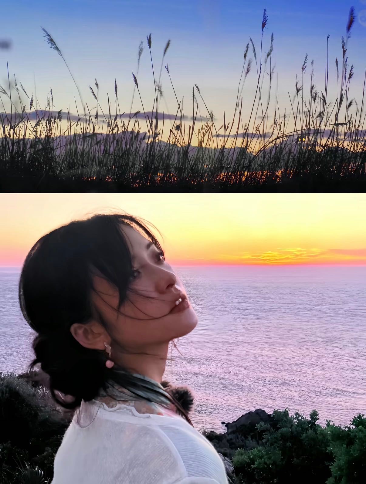 明媚沈月