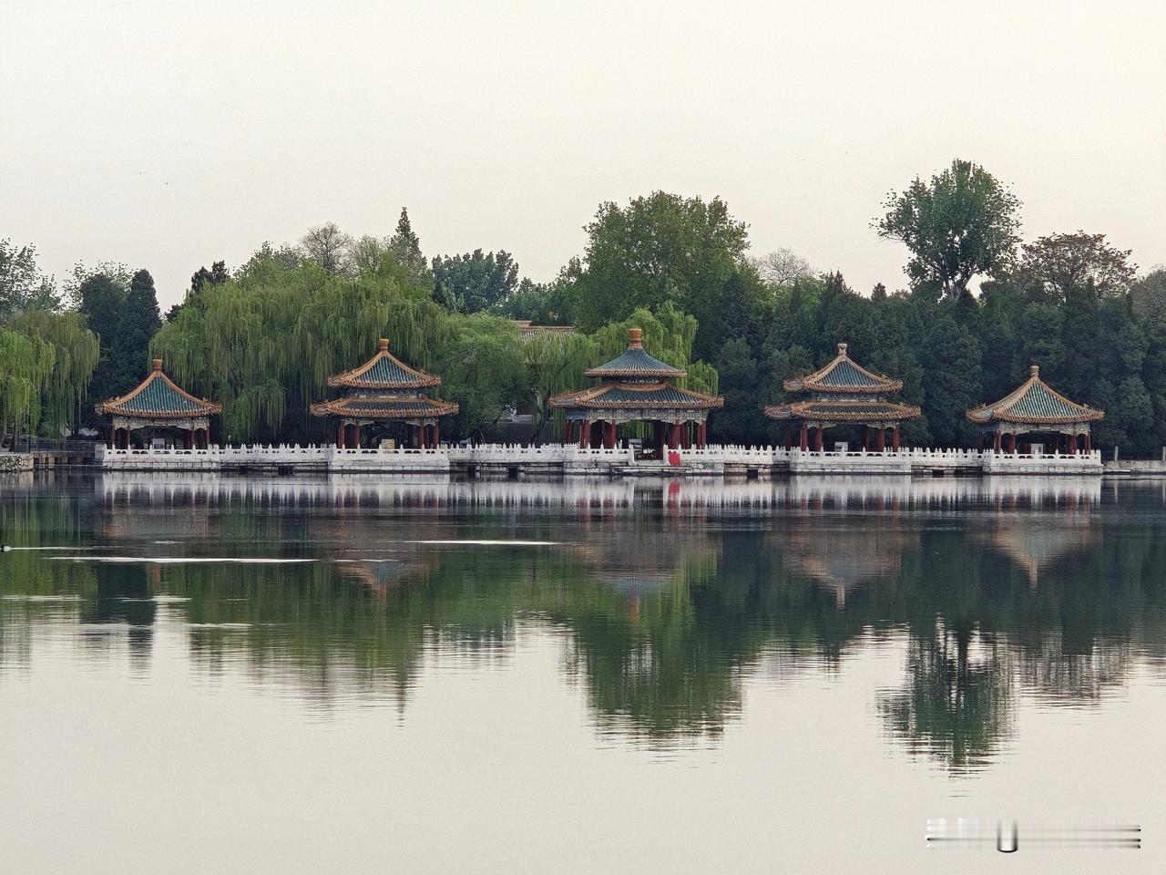 我今天早上，又去了北海公园游玩。到了五方亭后，想起疑虑，于是拍了几张照片。
不知