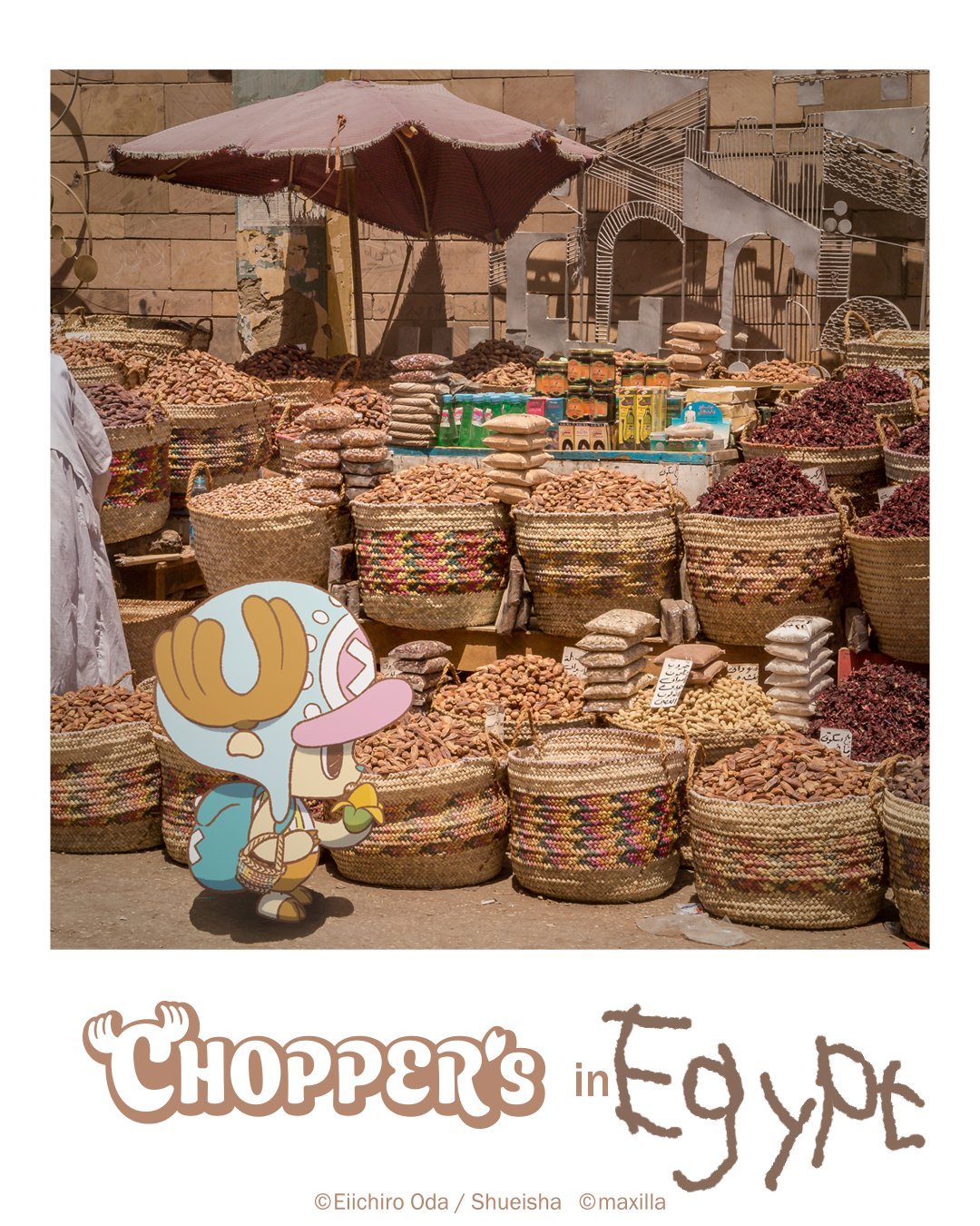 海贼王官方乔巴全新企划“CHOPPER's”，发一些乔巴在现实世界的图和视频。今